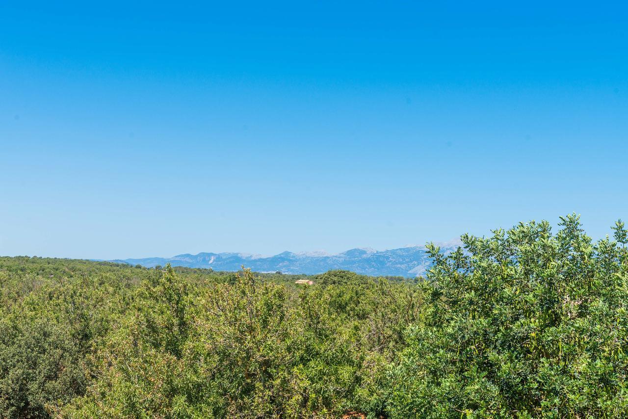 Clau De Sol Βίλα Can Picafort  Εξωτερικό φωτογραφία